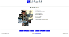 Desktop Screenshot of cidaal.com